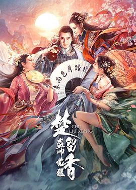 《少女情怀总是诗1993香港》海报